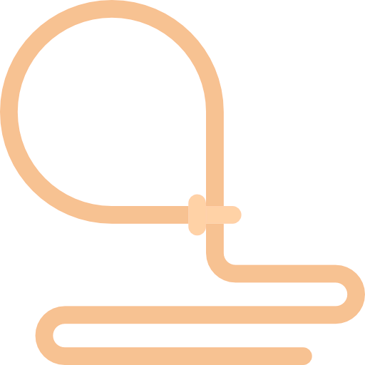 Lasso icon