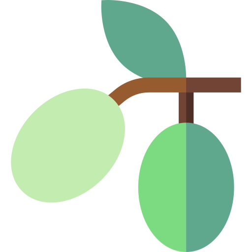 Olive icon