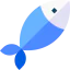 Fish icon 64x64