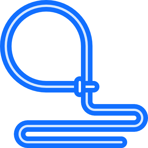 Lasso icon