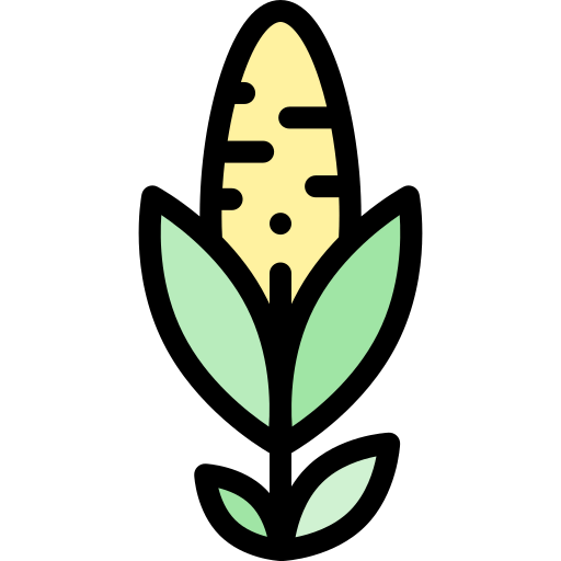 Corn icon