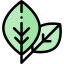 Leaf icon 64x64