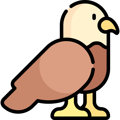 Eagle icon