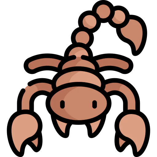 Scorpion icon