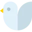 Pigeon icon 64x64