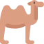 Camel icon 64x64
