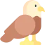 Eagle icon 64x64