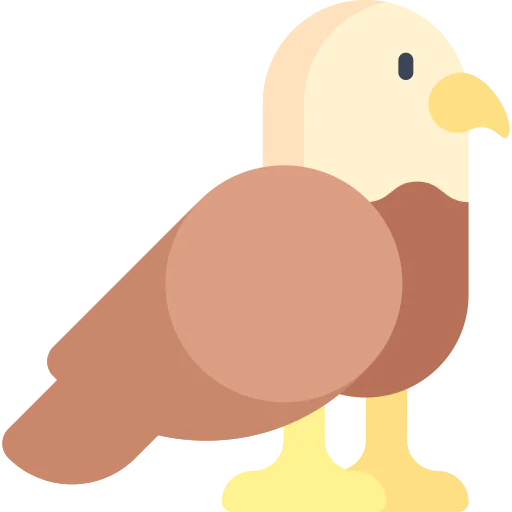 Eagle icon