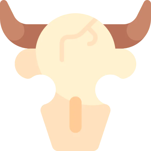 Skull icon
