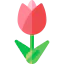 Tulip icon 64x64