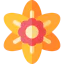 Daffodil icon 64x64