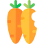 Carrots icon 64x64