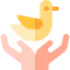 Dove icon 64x64