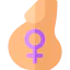 Pregnant icon 64x64