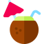 Coconut drink icon 64x64