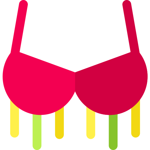 Bra icon