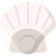 Clam icon 64x64