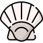 Clam icon 64x64