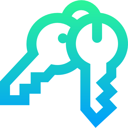 Key icon