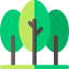 Forest icon 64x64