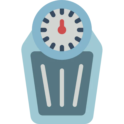 Scale icon