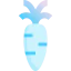 Carrot icon 64x64