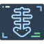 X ray icon 64x64