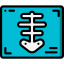 X ray icon 64x64