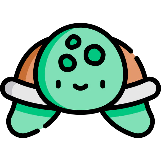 Turtle icon