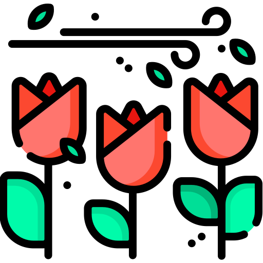 Spring icon