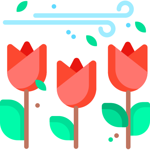 Spring icon