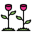 Spring icon 64x64