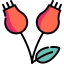 Dog rose icon 64x64