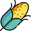 Corn icon 64x64