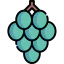 Grape icon 64x64