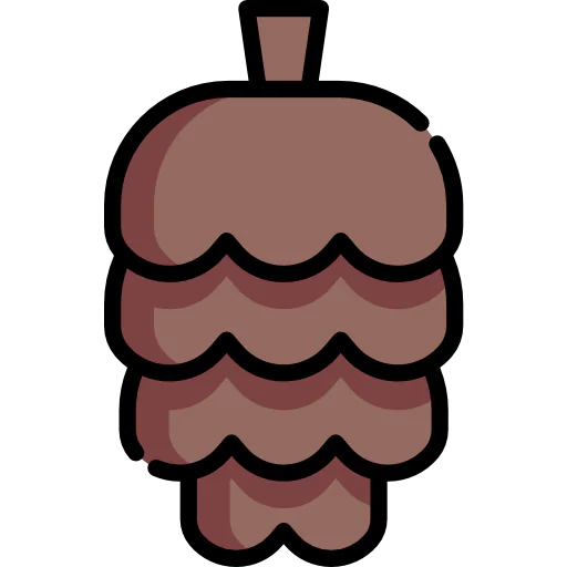 Pine cone icon