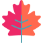 Leaf icon 64x64