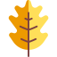 Leaf icon 64x64