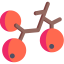 Berries Ikona 64x64