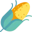 Corn icon 64x64