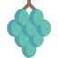 Grape icon 64x64