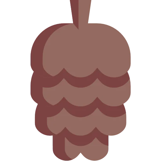 Pine cone icon