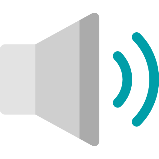Volume icon