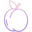 Apricot icon 64x64