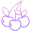 Berry icon 64x64