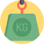 Weight Ikona 64x64