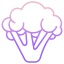 Broccoli icon 64x64