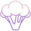Cauliflower icon 64x64