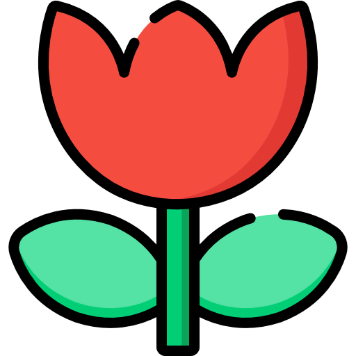 Macro icon