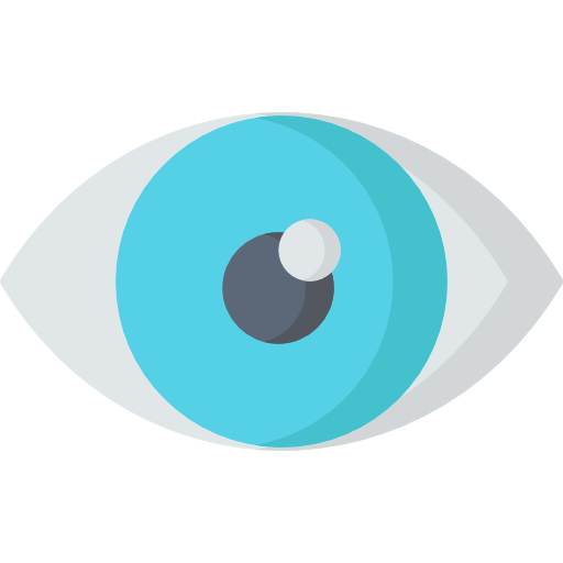 Eye icon